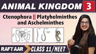 Animal Kingdom 03  Ctenophora II Platyhelminthes and Aschelminthes  Class 11NEET  RAFTAAR [upl. by Hinkle915]