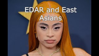 EDAR gene and east Asians [upl. by Hendon]