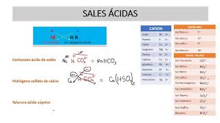 SALES ÁCIDAS [upl. by Sarchet]