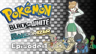 Pokémon BW Randomizer 1  Rolling Stones [upl. by Bledsoe]