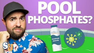 Are POOL PHOSPHATES Feeding ALGAE In Your Pool  Swim University [upl. by Maury582]