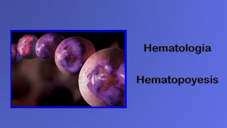 Hematología Hematopoyesis [upl. by Nnylodnewg]