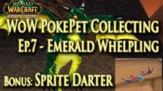 EP7 Wow PetBattle Pet Collecting  How to Get a Emerald Whelpling  Bonus Sprite Darter [upl. by Burt]