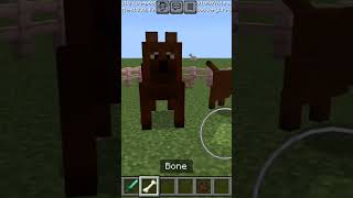 MINECRAFT HUNTING DOGS MOD MINECRAFT GAMEPLAYPART1 minecraft minecraftmods [upl. by Berga]