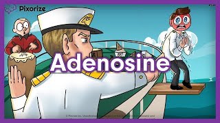 Adenosine Mnemonic for USMLE [upl. by Aneek]