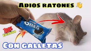 El Mejor Remedio para Eliminar RATONES  Usando Galletas [upl. by Akselav]