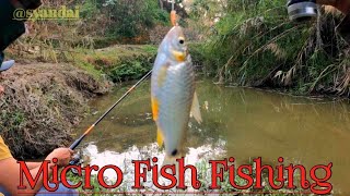 Micro Fish Fishing 🎣 Is Not Easy Like Catching Big Fish  Brook Fishing  Fishing Nepal 🇳🇵 [upl. by Mccord]