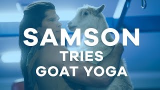 SAMSON Off Set  Challenge 3 Goat Yoga [upl. by Nonna817]