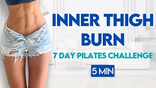 5 min Slim Inner Thighs Pilates Workout  At Home Leg Workout [upl. by Eveineg]