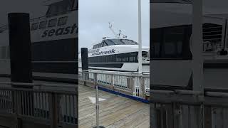 Different ferry lines to book for your next trip to Martha’s Vineyard ⛴️☀️🌊 [upl. by Emorej748]