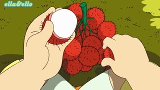 Kutahu Nama Buah  Rambutan Mangga Pisang  Puri Animation [upl. by Melisande282]