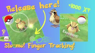 The Pidgey Excellent  Evolution combo is insane [upl. by Daile]