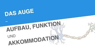 DAS AUGE – AUFBAU FUNKTION UND AKKOMMODATION  Biologie  Neurobiologie und Verhalten [upl. by Abbotsun]