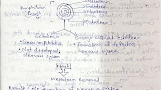 Developmental biology Gametogenesis and Fertilization bsczoology zoology notes [upl. by Elburr]