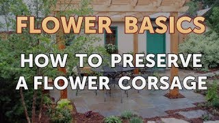 How to Preserve a Flower Corsage [upl. by Maclay]