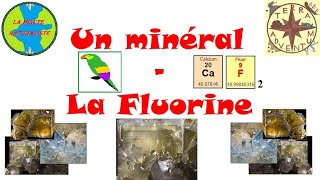 Un minéral  la Fluorine Minute Naturaliste 15 [upl. by Dnivra663]