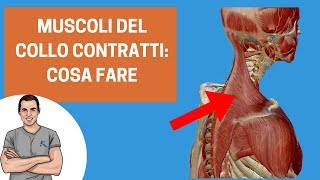 Muscoli del collo sempre contratti cosa fare [upl. by Elisabetta]