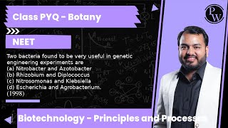 Two bacteria found to be very useful in genetic engineering experiments are a Nitrobacter and A [upl. by Fuhrman]
