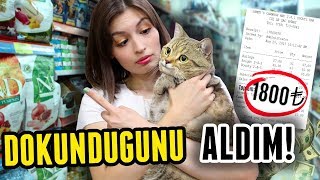 KEDİMİN DOKUNDUĞU HER ŞEYİ ALDIM [upl. by Annaya]