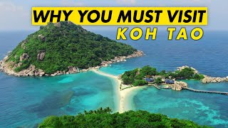 Why You MUST VISIT Koh Tao Best of Thailand [upl. by Martguerita]