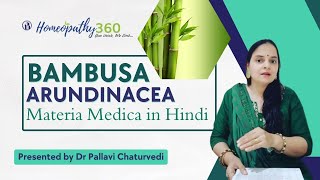 Bambusa Arundinacea Materia Medica in Hindi by Dr Pallavi Chaturvedi [upl. by Airdnaz]