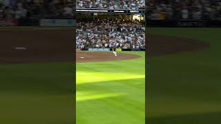 Benches clear at Padres vs Nationals game [upl. by Eimoan]