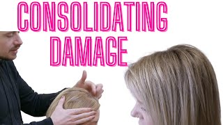 Tips For Colour Correcting Brassy Damaged Hair Colour [upl. by Francisca]