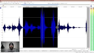 EchoVox session basic editing walkthrough [upl. by Iclehc]