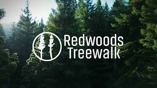 REDWOODS TREEWALK  DAYTIME SPLENDOUR [upl. by Htiffirg292]