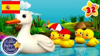 Los Cinco Patitos  NUEVA CANCIÓN  Canciones Infantiles  Dibujos Animados  Little Baby Bum [upl. by Naehs]