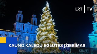 Kauno Kalėdų eglutės įžiebimas  20241123 [upl. by Earlene]