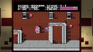 Ninja Gaiden Short Gameplay Nintendo [upl. by Pond]