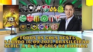 TODOS OS GOLS DESTE SÁBADO 16092023 BRASILEIRÃO SERIE A B C D GOLS DA RODADA [upl. by Fassold]