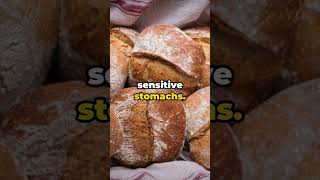 Bread Wars Sourdough vs Yeast bread nutrition yeastbread [upl. by Keiryt]