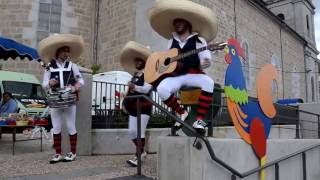 Animation musicale sur le marché dYssingeaux [upl. by Haisa]