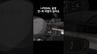 One Pedal Driving을 할 수 있다는 것 [upl. by Araic]