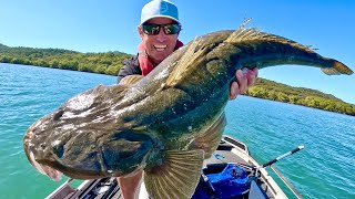 Catching 🐊HUGE FLATHEAD🐊fishing the flats [upl. by Eilhsa]