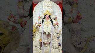 Suvo Jagadhatri Puja 🌸🙏shorts ytshorts jagadhatriapuja jagadharti chandannagar trending puja [upl. by Lyman]