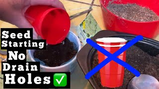 EASY Starting Seeds TIPS WHAT to GROW Now Recycle Food Containers to Garden FREE Plants with Tulle [upl. by Howell]