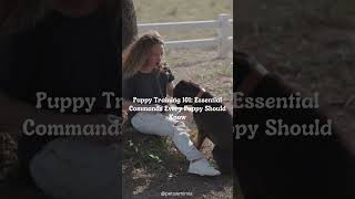 wanna learn how to puppy training ⬇️ dog dogtraining dogshorts [upl. by Heeley]