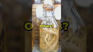 Snake Wine Is Vietnams Wild Drink snakewine strangefoods foodfacts foodknowledge facts [upl. by Irehs144]