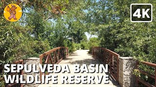 Sepulveda Basin Wildlife Reserve Walking Tour  Los Angeles 4k Ultra HD  🔊 Binaural Sound [upl. by Sklar]