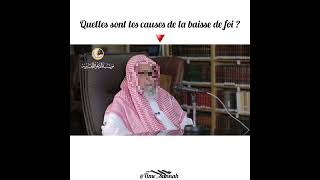 🍂 Quelles sont les causes de la baisse de foi  islam foi rappelislam [upl. by Assened827]