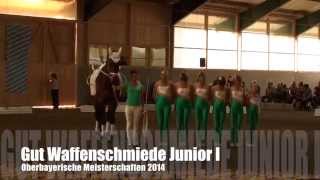 Oberbayerische Meisterschaften 2014  Gut Waffenschmiede Junior I [upl. by Dleifniw770]