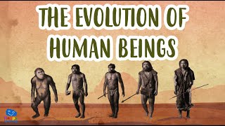 THE EVOLUTION OF HUMAN BEINGS  Human Evolution  Educational Videos for Kids [upl. by Olim654]