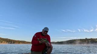 Table Rock Lake October 23 live fishing update [upl. by Akinert]