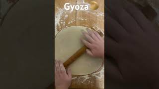 food gyoza cook cooking shorts [upl. by Retsel]