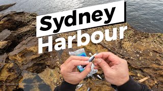 Fishing In Low Tide  Sydney Harbour [upl. by Earley]