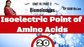 Isoelectric Point of Amino Acids I Part 20 I Biomolecules chemistry CBSE class 12 By Vani maam [upl. by Lenneuq263]