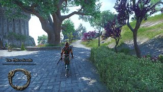 Elder Scrolls Online 2024 graphics mod [upl. by Odnumyar980]